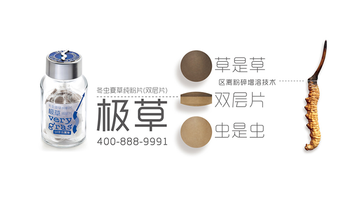 极草-冬虫夏草纯粉片(双层片)